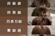 手机摄像头出现棕色斑点是何原因？