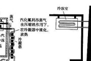 冰箱的工作原理及其重要性（解析冰箱如何保持食物的新鲜与安全）