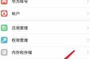 荣耀手机主体如何设置？步骤是什么？