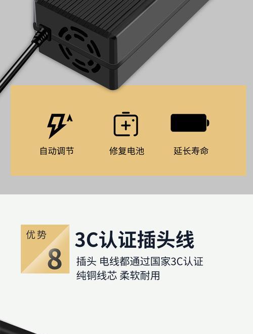 新国标充电器为何缺少自动断电功能？安全吗？